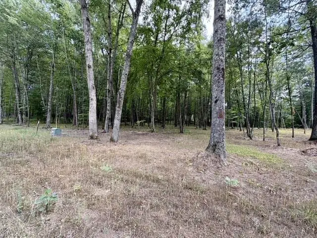 CARRIE LANE, Pound, WI 54161 - #3