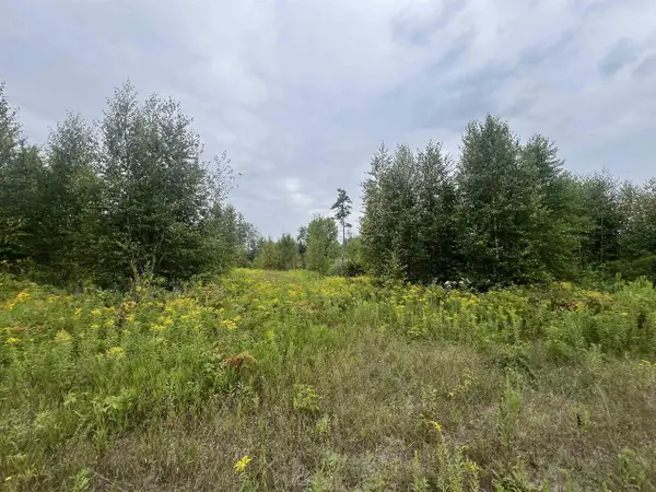 W5350 BIG WOODS LANE, Pembine, WI 54156
