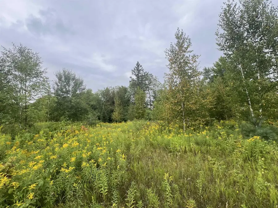 W5350 BIG WOODS LANE, Pembine, WI 54156 - #3