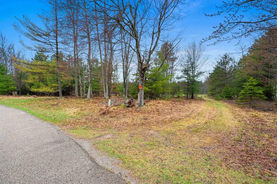 RUSS MAINIK ROAD, Wausaukee, WI 54177 - #2