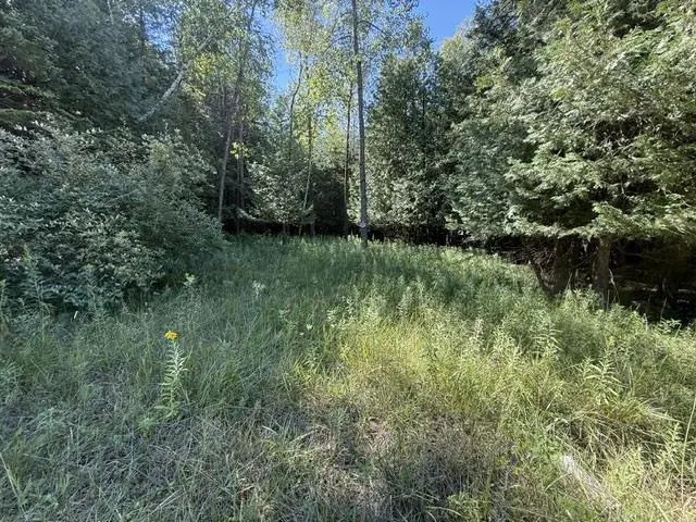 SLEEPY HOLLOW DRIVE, Forestville, WI 54238 - #3