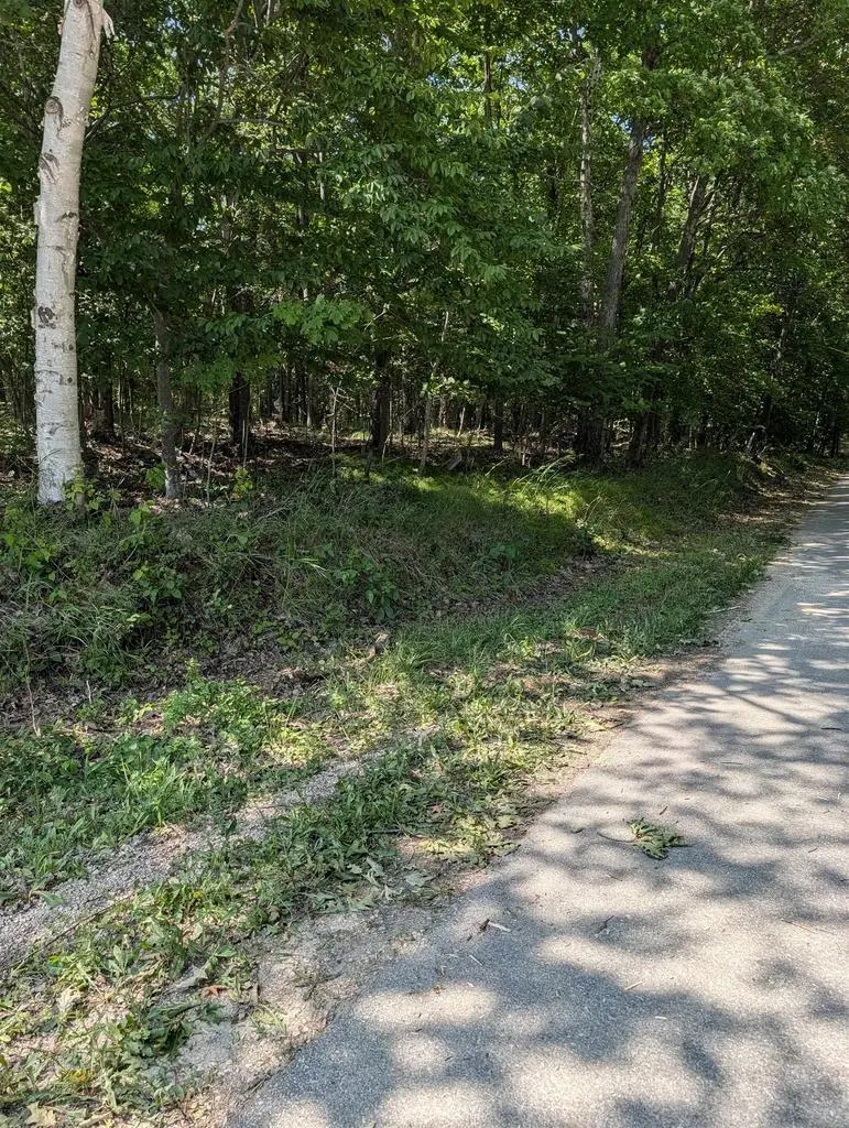 JACKSON HARBOR ROAD, Washington Island, WI 54246 - #2
