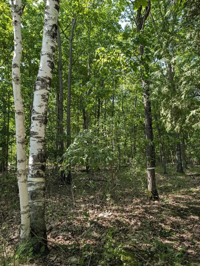 JACKSON HARBOR ROAD, Washington Island, WI 54246 - #3