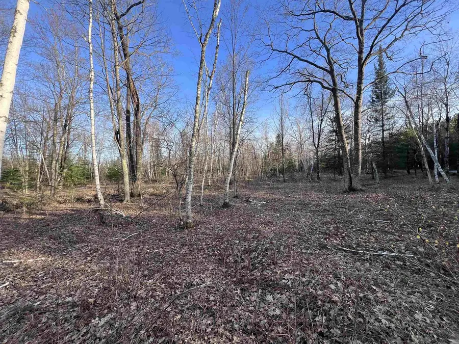 NEJEDLO ROAD, Wausaukee, WI 54177 - #3