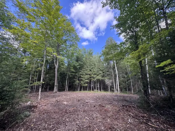 W5700 PINEWOOD DRIVE, Niagara, WI 54151