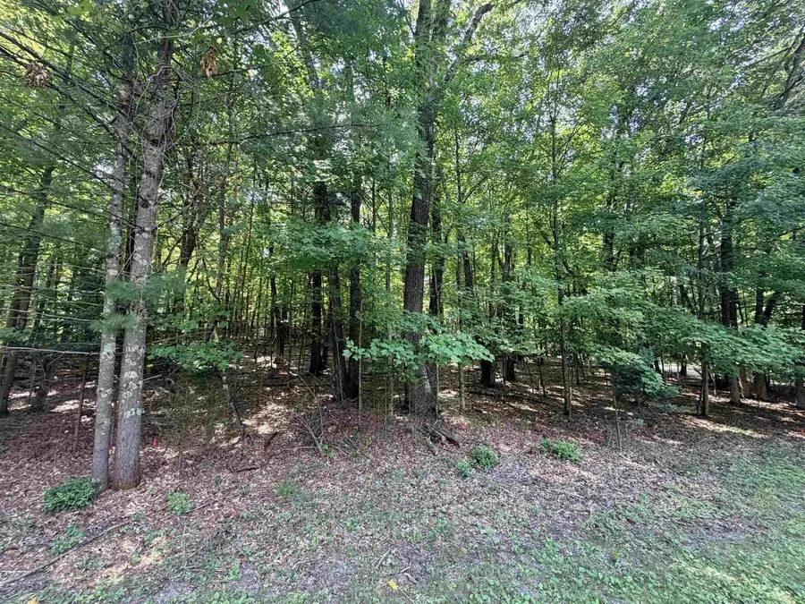 E769 AUGUSTA LANE, Waupaca, WI 54981 - #3