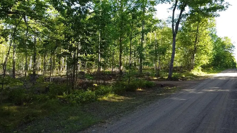 TOWER DRIVE, Crandon, WI 54520 - #2