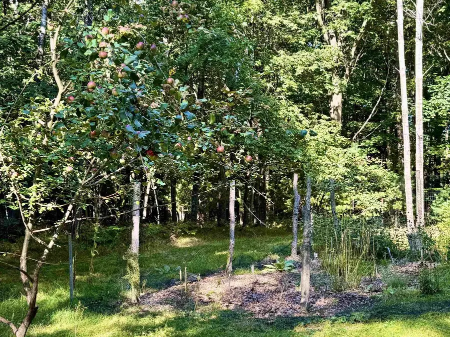 MAPLEWOOD LANE, Sobieski, WI 54171 - #2