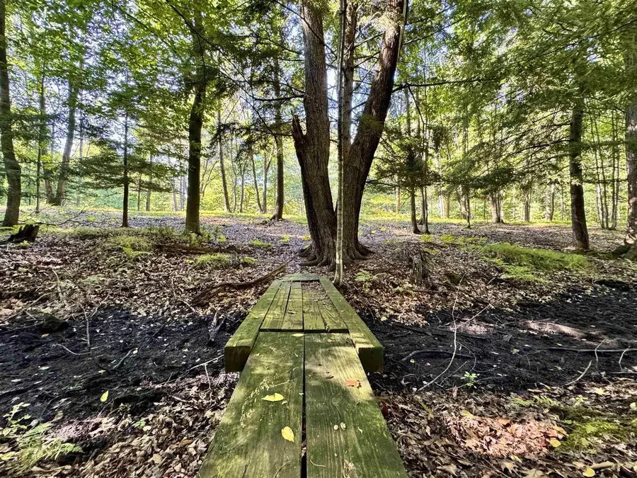 MAPLEWOOD LANE, Sobieski, WI 54171 - #3