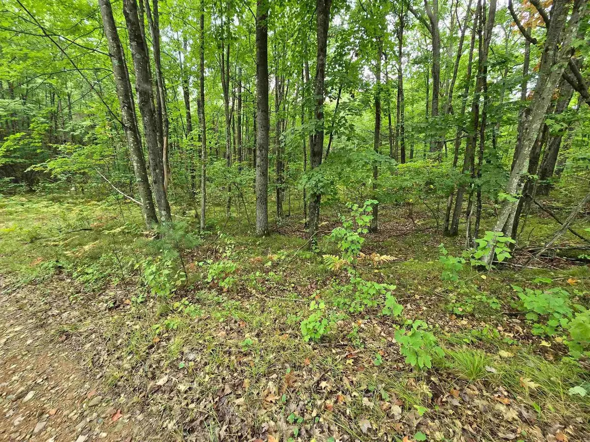 5 acres ROUSH ROAD, Wausaukee, WI 54177 - #1