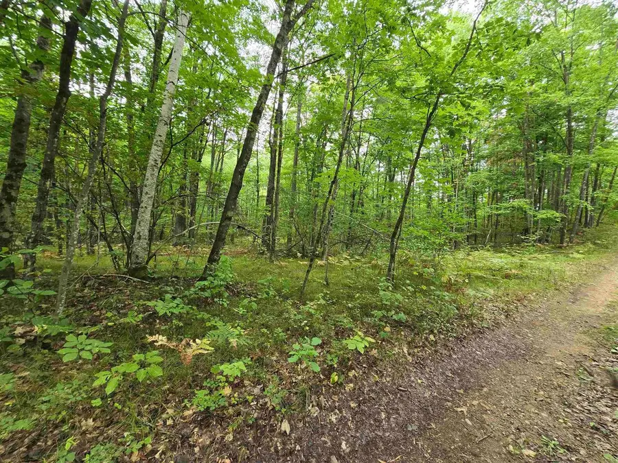 5 acres ROUSH ROAD, Wausaukee, WI 54177 - #2