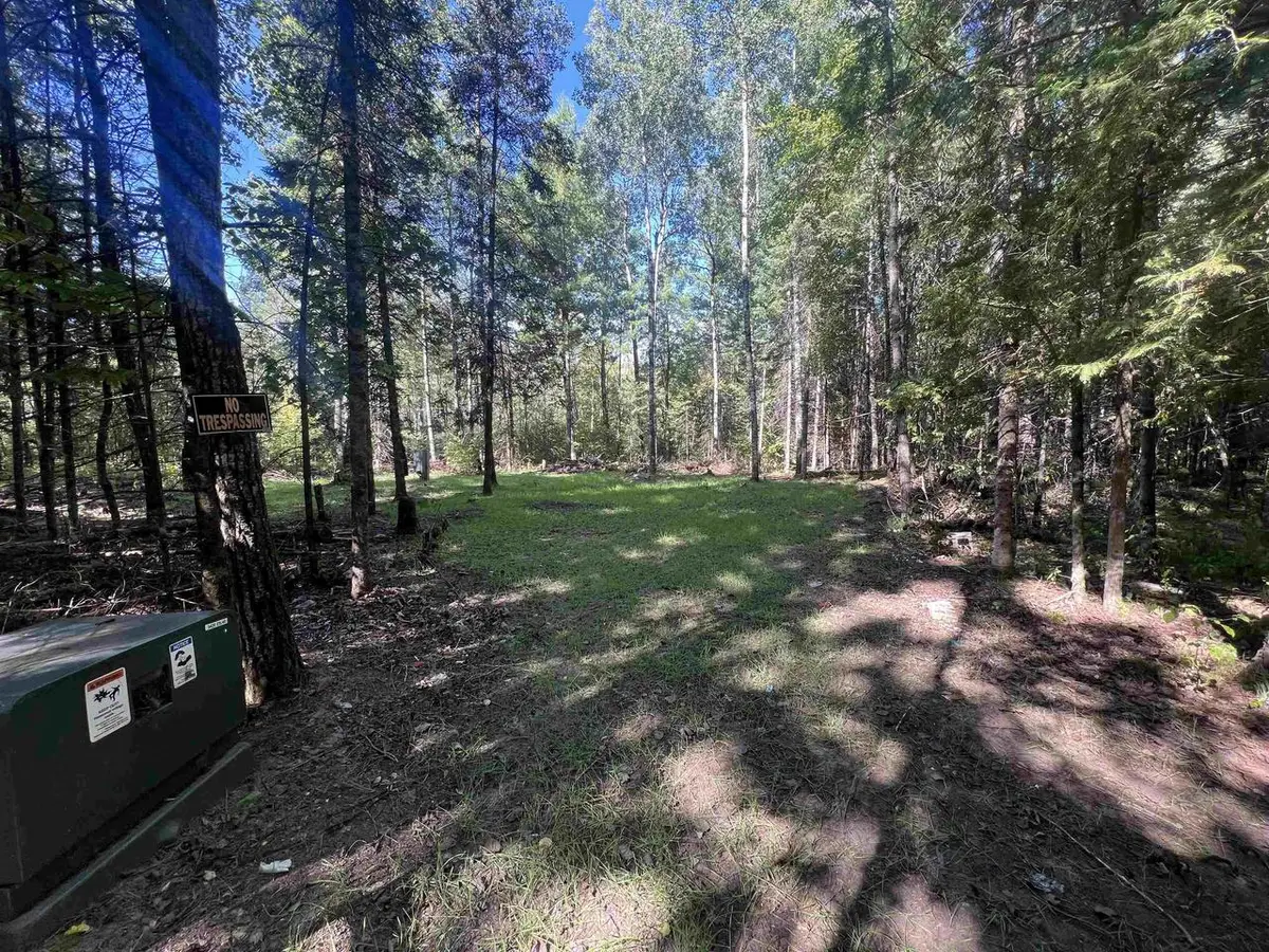 N12287 POPLAR ROAD, Wausaukee, WI 54177 - #1