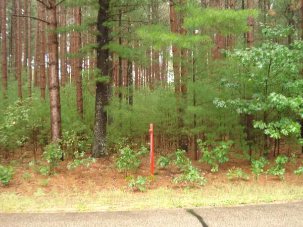4TH AVENUE, Redgranite, WI 54970