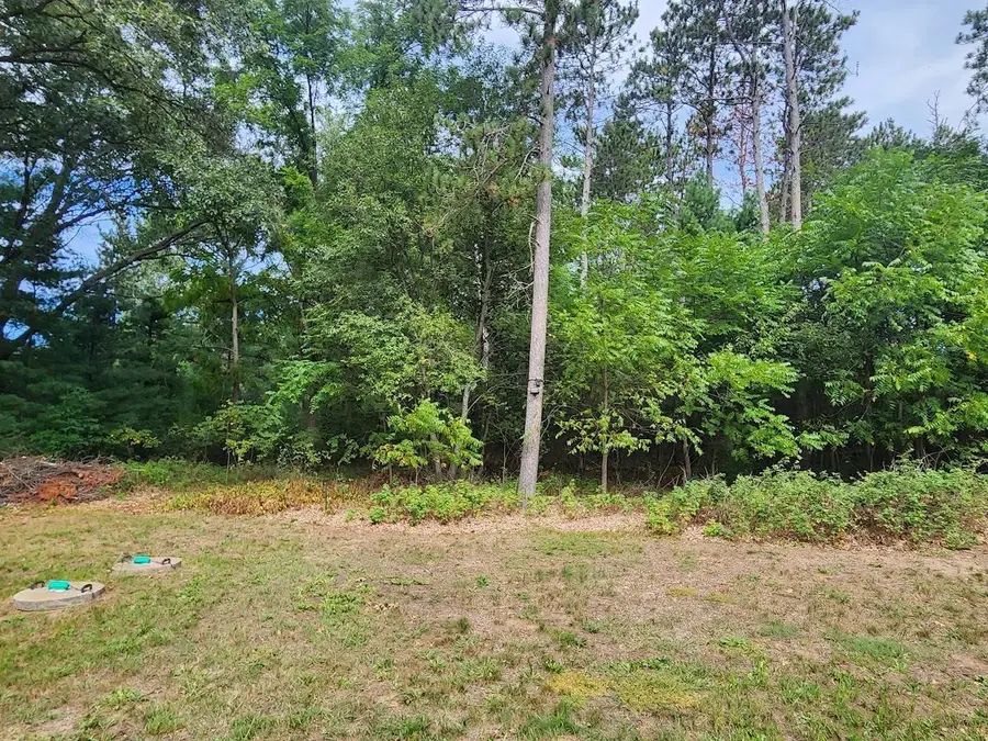 W8392 COTTONVILLE DRIVE, Wautoma, WI 54982 - #2
