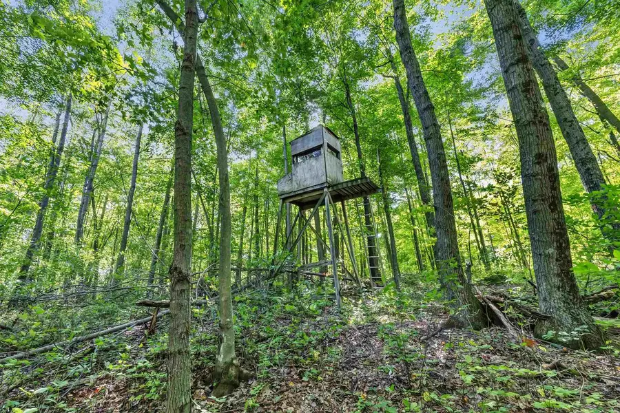 N WEST HILL ROAD, Iola, WI 54945 - #3