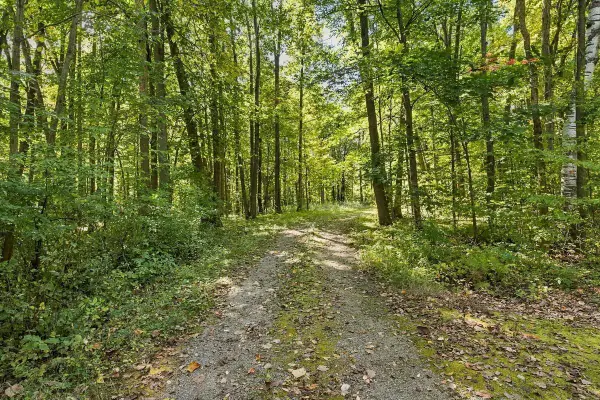 W681 PEARL STREET, Oneida, WI 54155