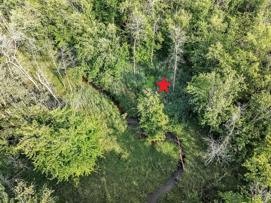 WILSON ROAD, Algoma, WI 54201 - #3