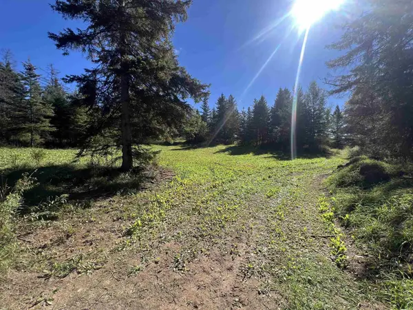 BADISH ROAD, Daggett, MI 49821