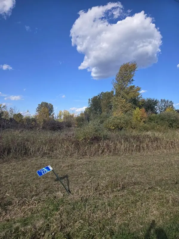 272 E LONE ELM AVENUE, Van Dyne, WI 54979