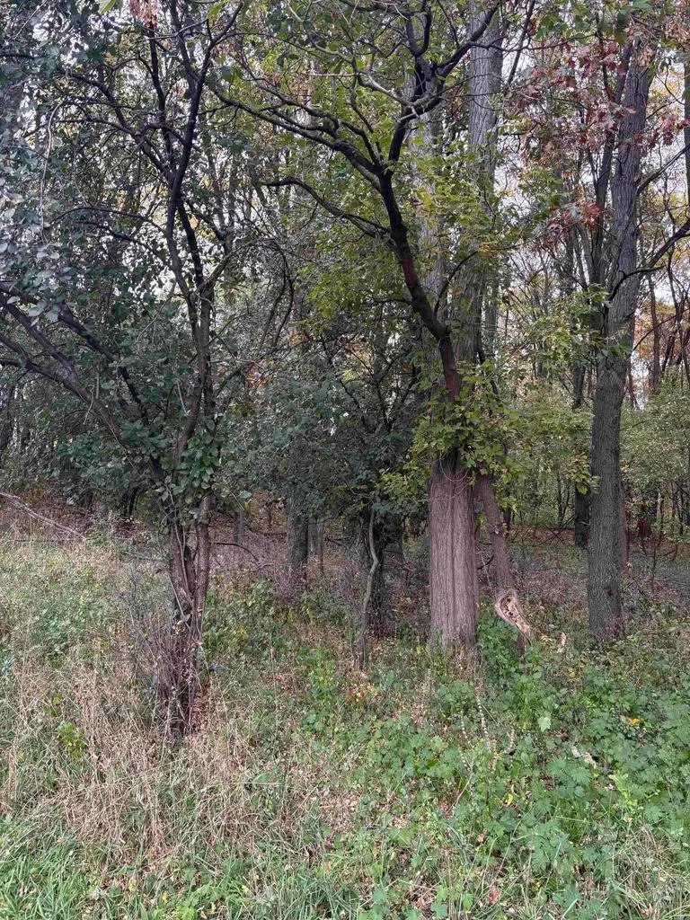 BOWLING LANE, Waupaca, WI 54981 - #2