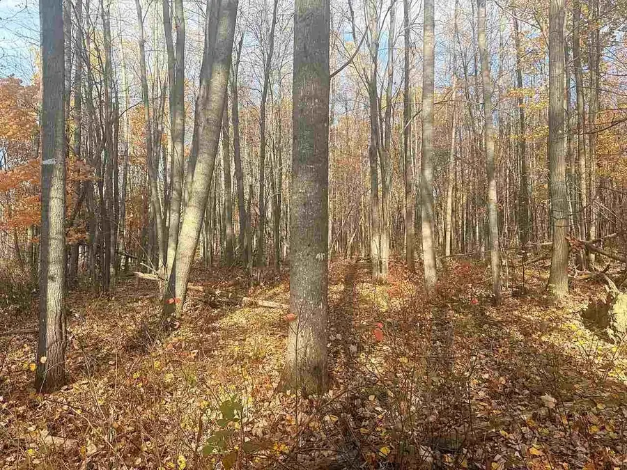 N9858 W HILL ROAD, Iola, WI 54945 - #2