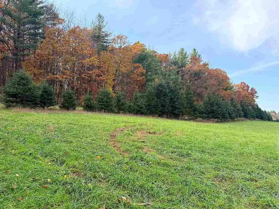 N9858 W HILL ROAD, Iola, WI 54945 - #3