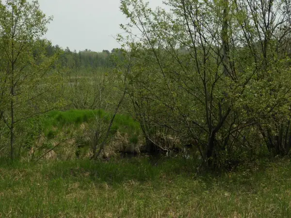 6726X E Deep Lake Rd, Iron River, WI 54847