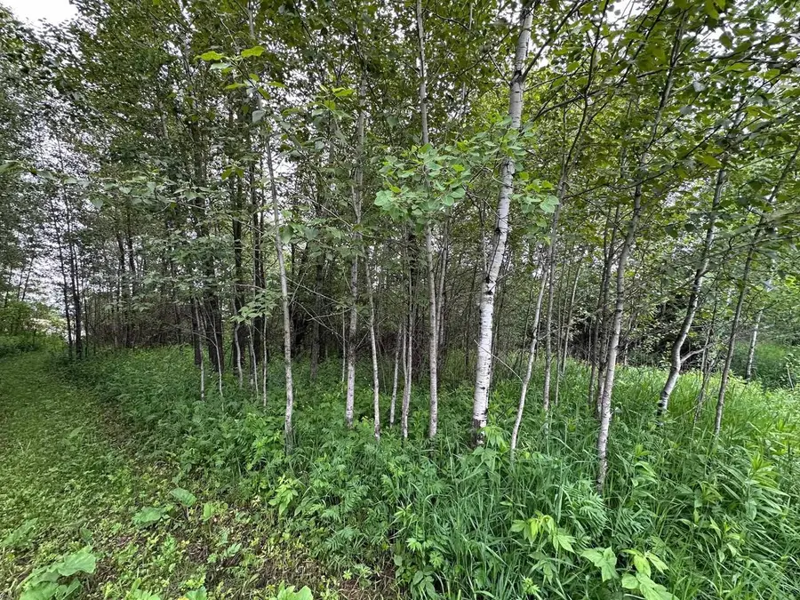 3938 E 5th St, Superior, WI 54880 - #3