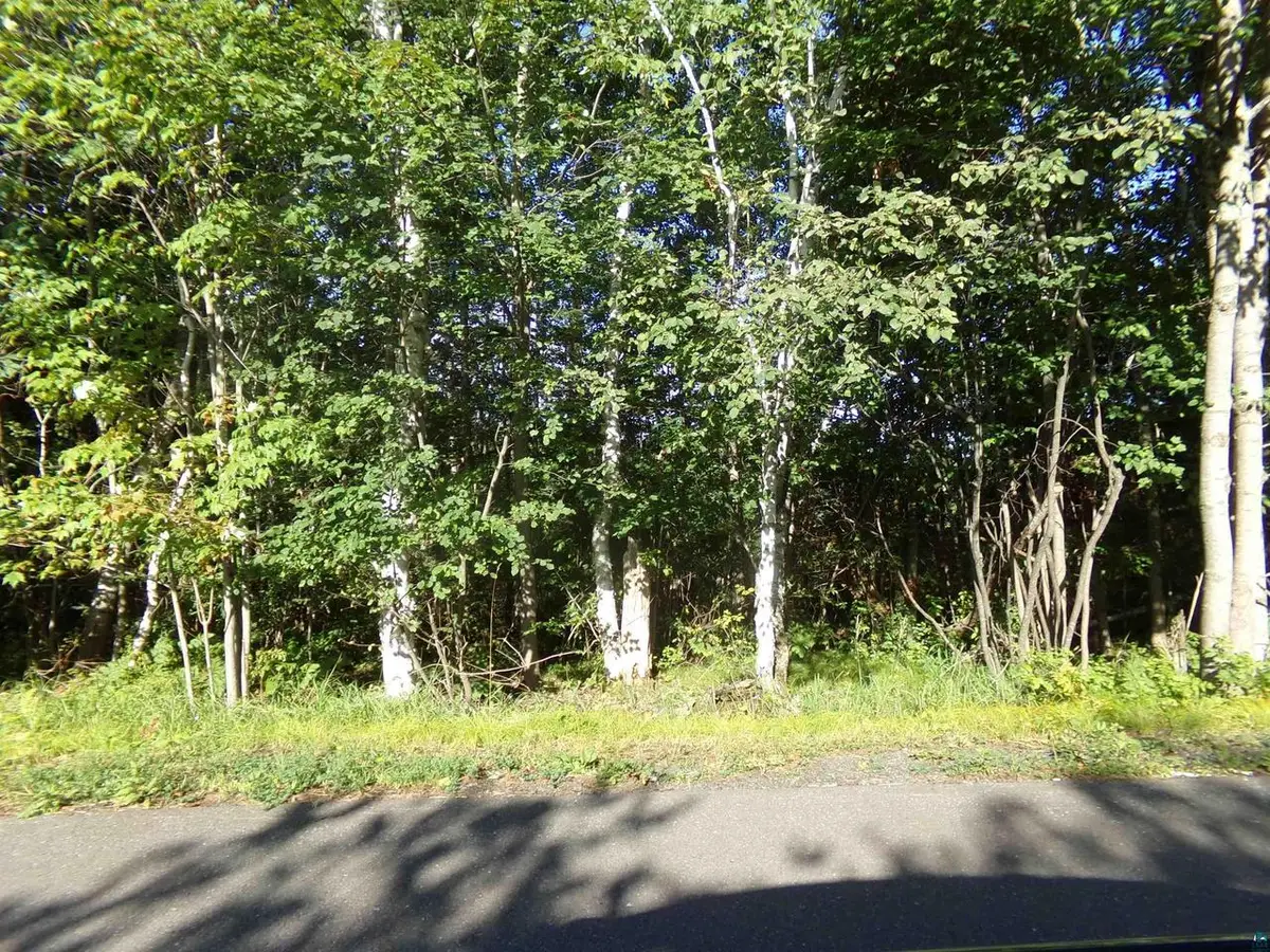 7581 S Marsik Rd, Lake Nebagamon, WI 54849 - #1