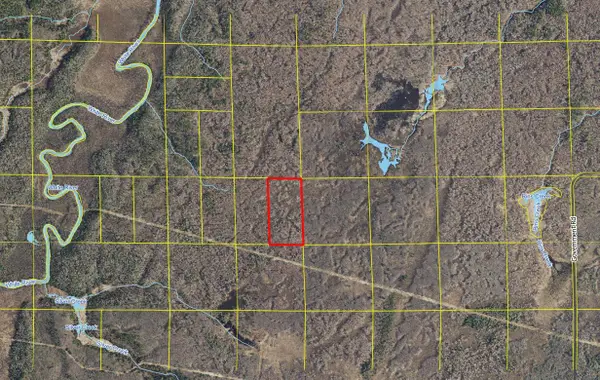 20 Acres Near Government Rd, Odanah, WI 54861