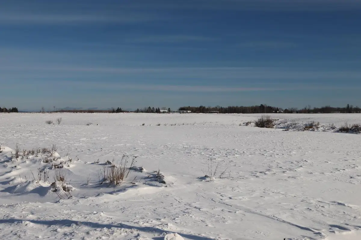 64XXX Pezderic Rd, Mason, WI 54856 - Image #1