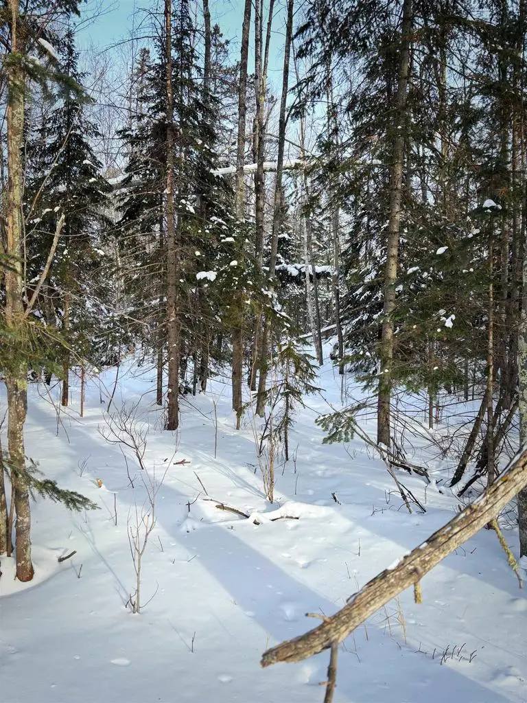 000 Airport Rd, Port Wing, WI 54865 - #2