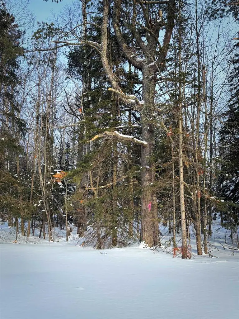 000 Airport Rd, Port Wing, WI 54865 - #3