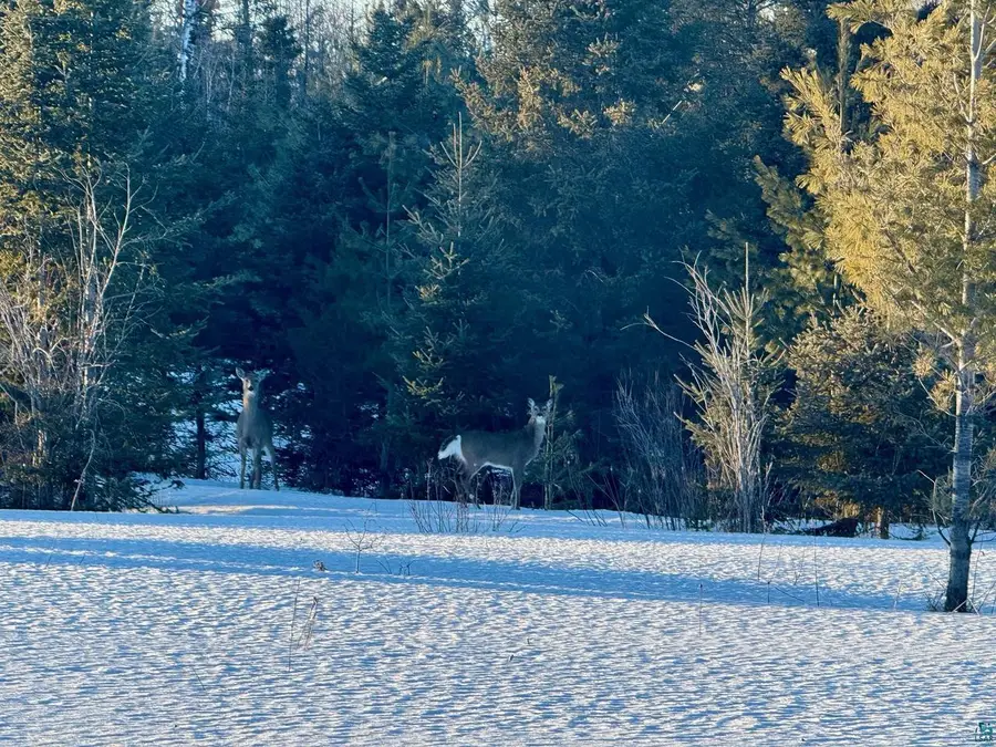 209xx Highway 2, Mason, WI 54856 - #3