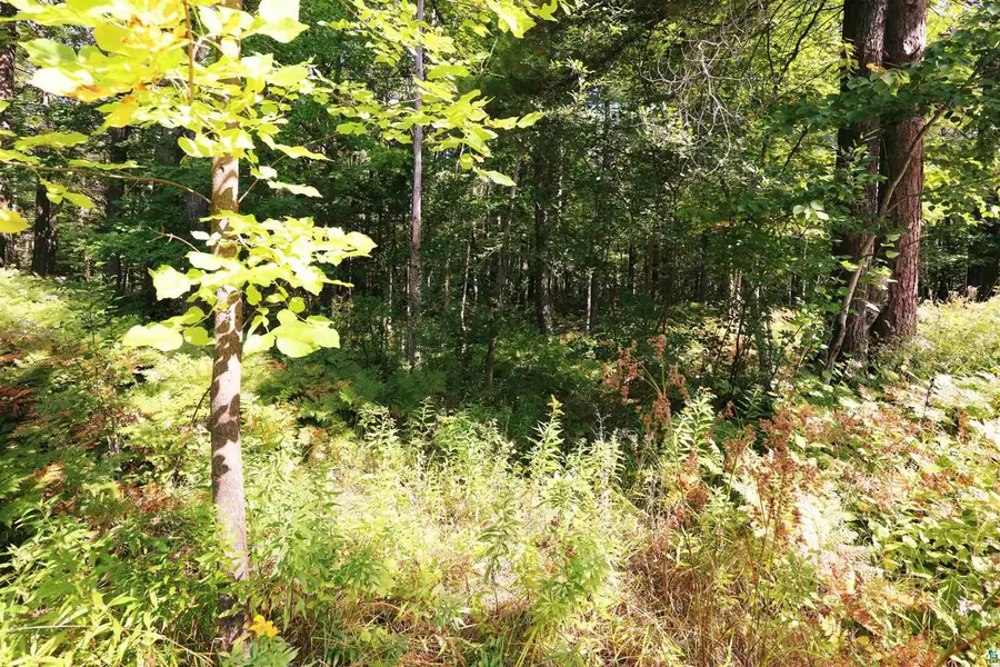 xxx N 10th Ave W, Washburn, WI 54891 - #3