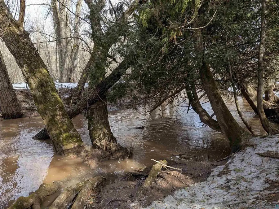 10550 Flagg River Rd, Port Wing, WI 54865 - #2