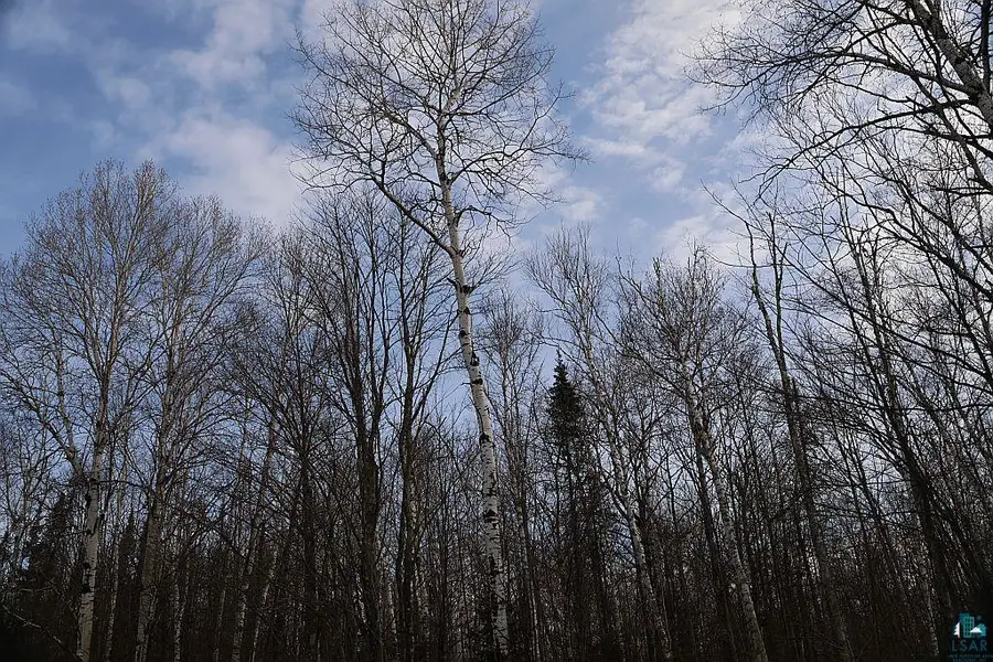 713XX Oulu Rock Rd, Brule, WI 54820 - #3