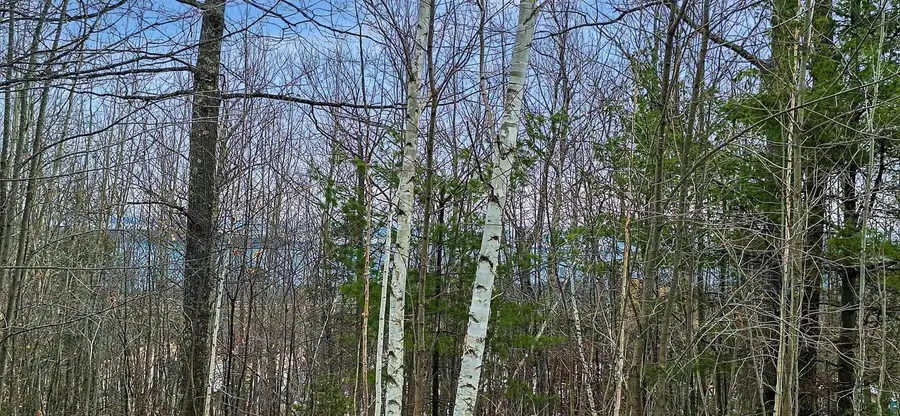 xxx Apple Hill Rd, Bayfield, WI 54814 - #2