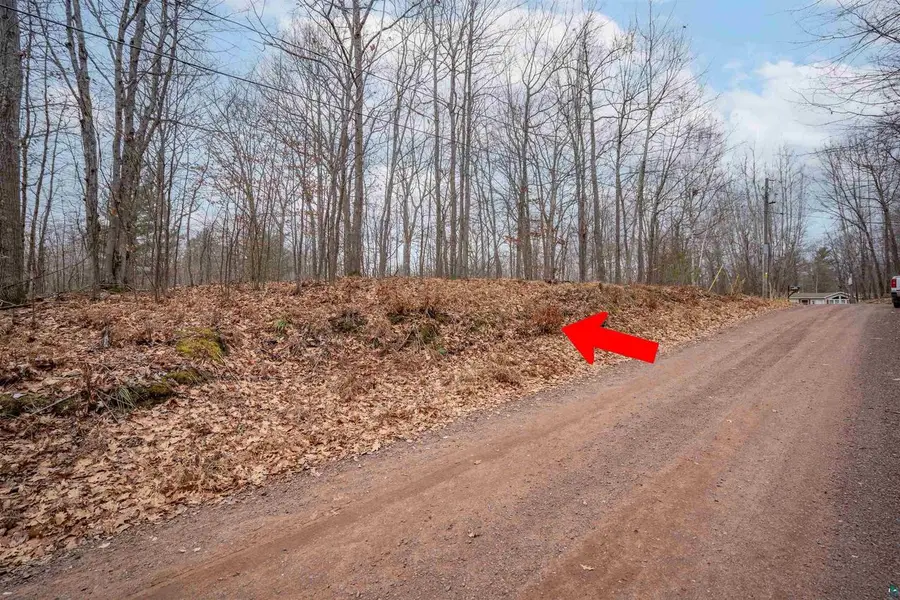 7173 Dougs Cr, Lake Nebagamon, WI 54849 - #3