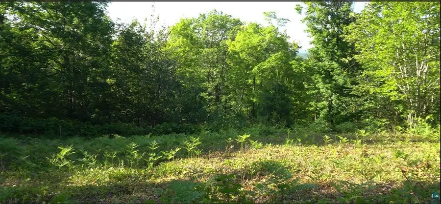 83xxx Ashwabay Heights Rd, Bayfield, WI 54814 - #2