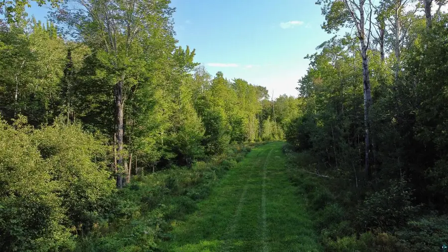 Lots 2-6 Romans Point Rd, Cornucopia, WI 54827 - #3