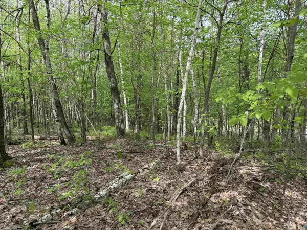 Lot 4 Peterson Rd, Wascott, WI 54859