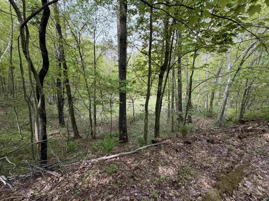 Lot 4 Peterson Rd, Wascott, WI 54859 - #3