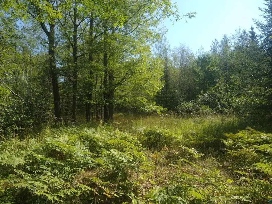 85XXX Fireplace Rd, Port Wing, WI 54865 - #3