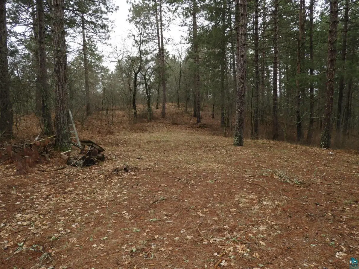 XXXX Wilderness Ct, Barnes, WI 54873 - #1
