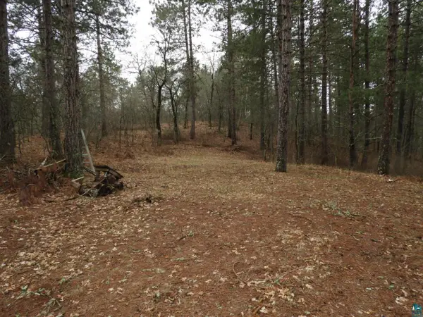 XXXX Wilderness Ct, Barnes, WI 54873
