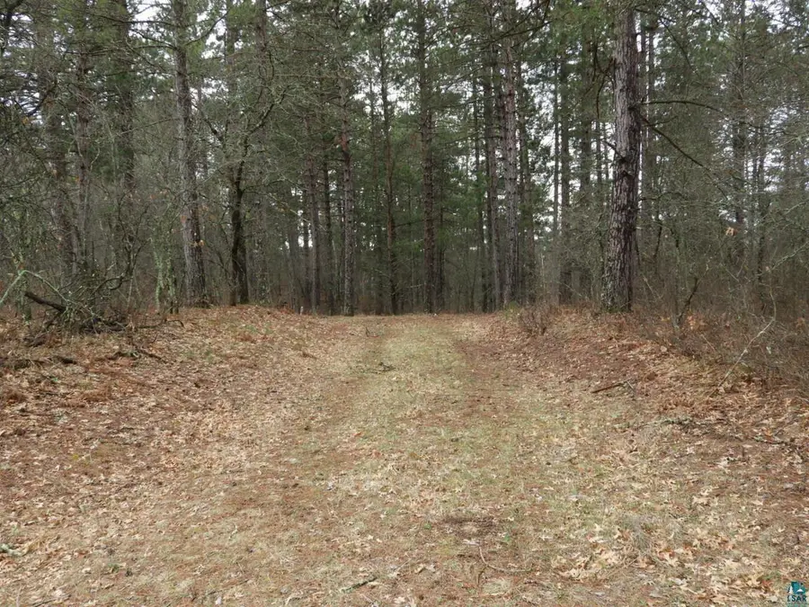 XXXX Wilderness Ct, Barnes, WI 54873 - #3