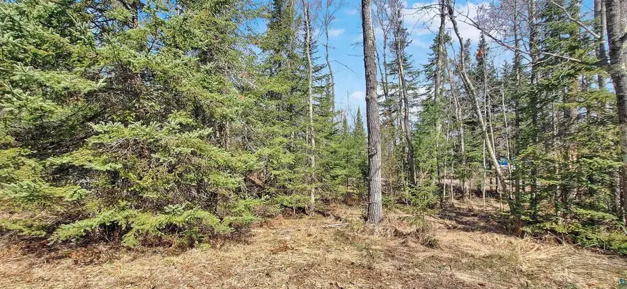 xxx Mondamin Tr, La Pointe, WI 54850 - #3