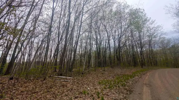 53XXN Basswood Lane, Stone Lake, WI 54876