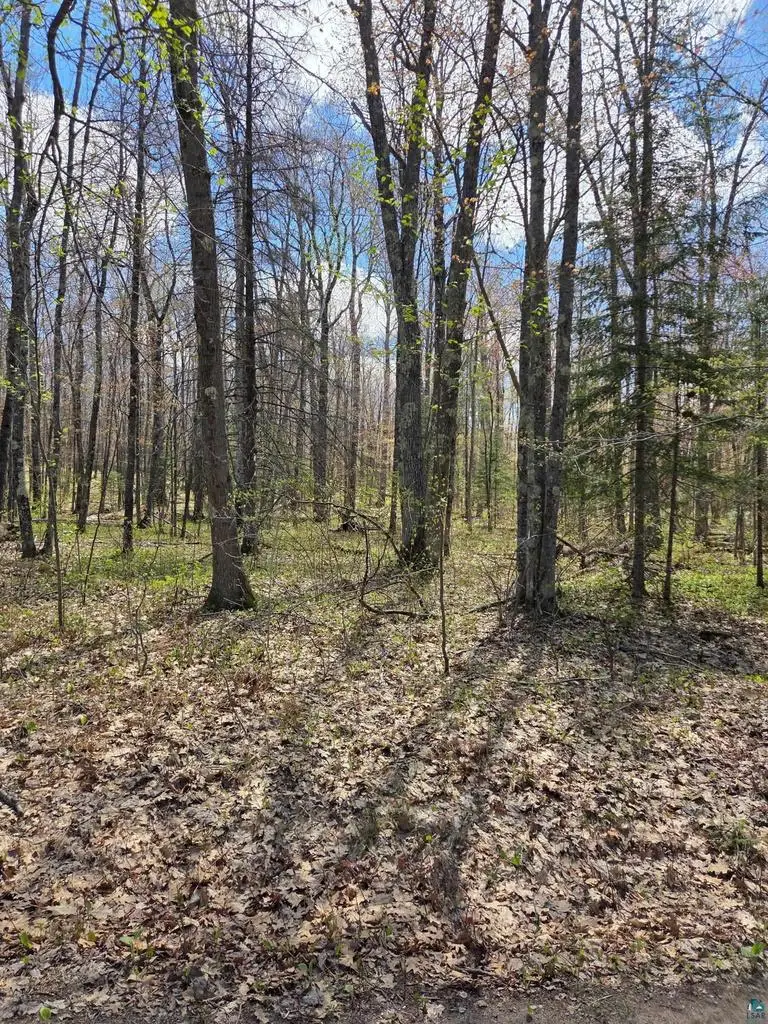 17--- Short Cut Rd, Herbster, WI 54844 - #1